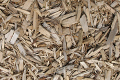 biomass boilers Chatterton